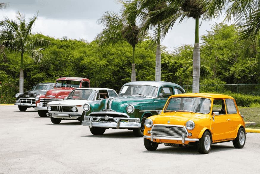 Linha de carros clássicos coloridos em local ensolarado com palmeiras
