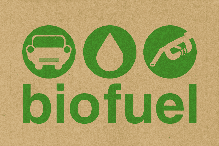 biocombustíveis, sustentabilidade automotiva